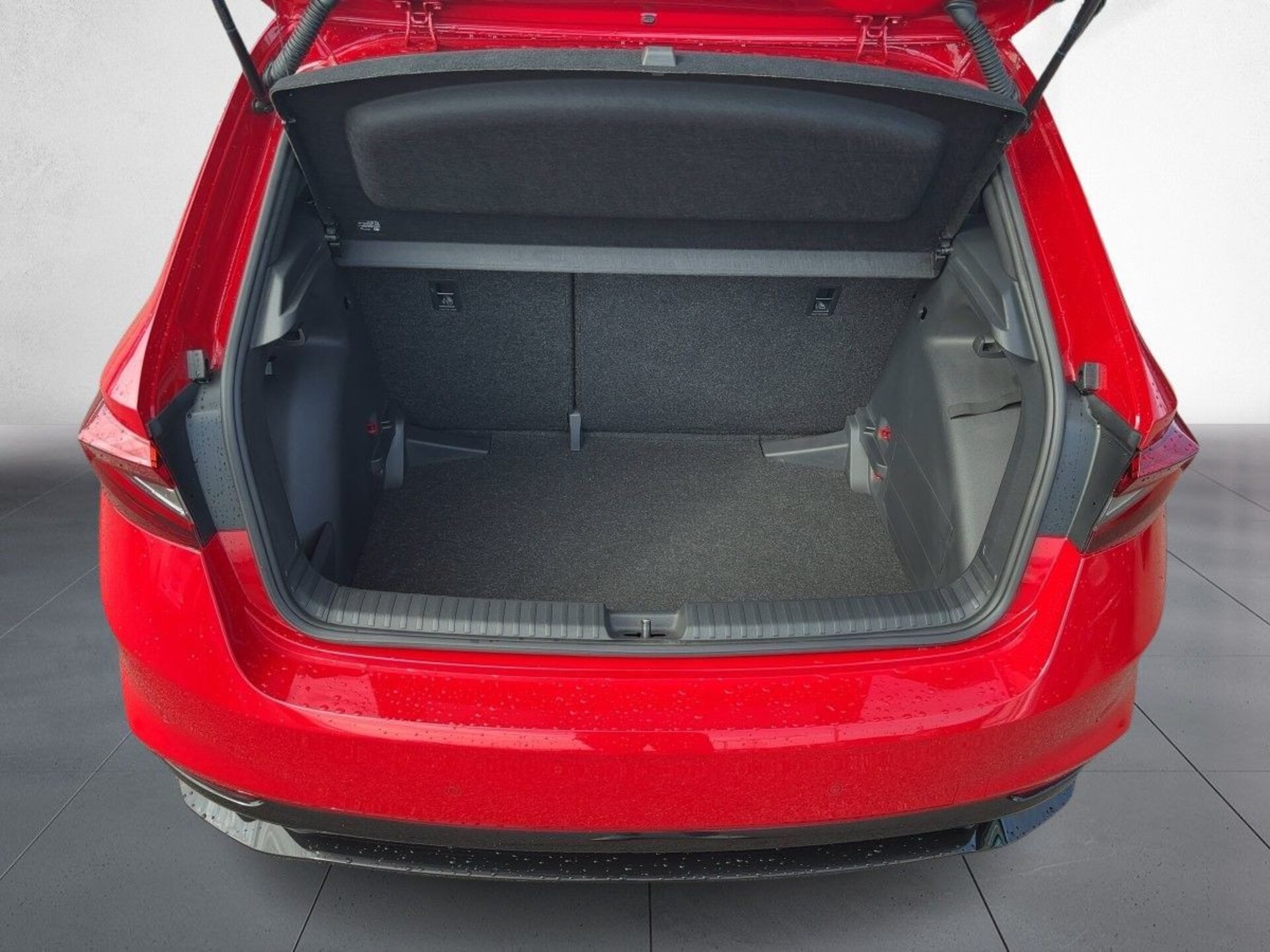 Skoda Fabia Monte Carlo