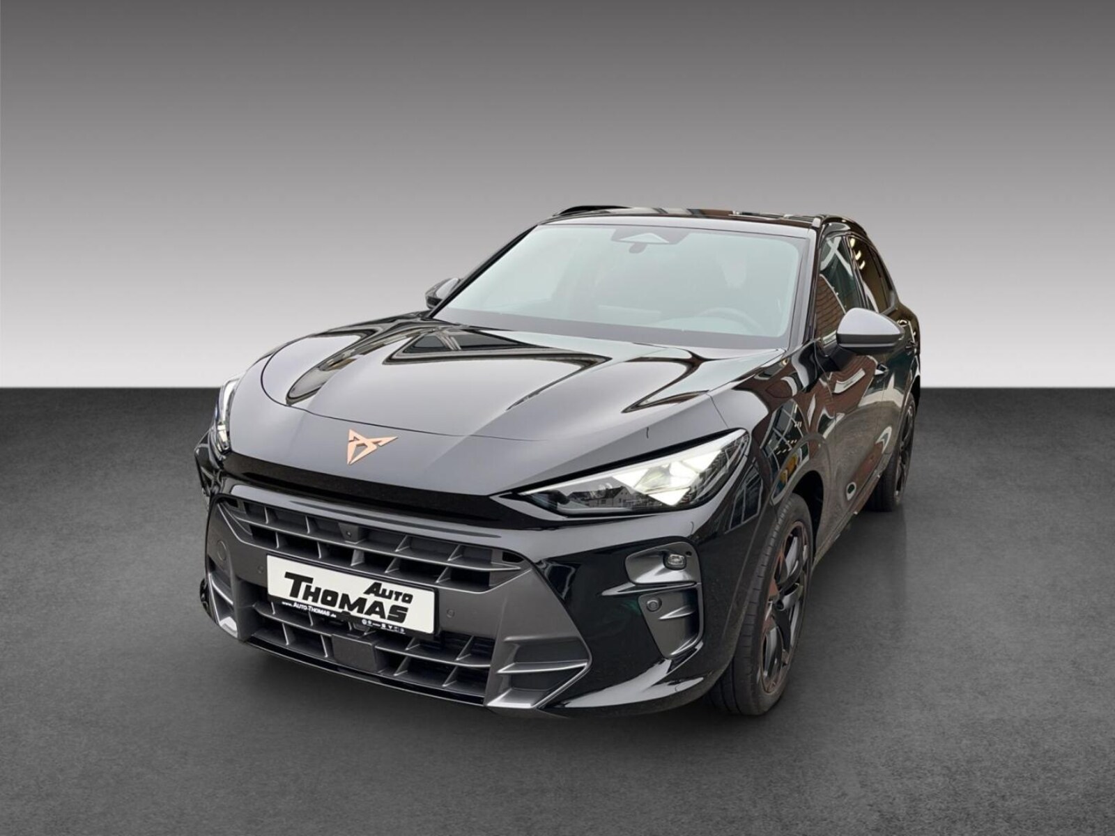 CUPRA Terramar – Bild 2
