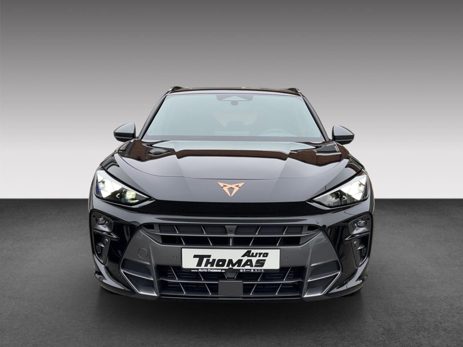 CUPRA Terramar – Bild 3