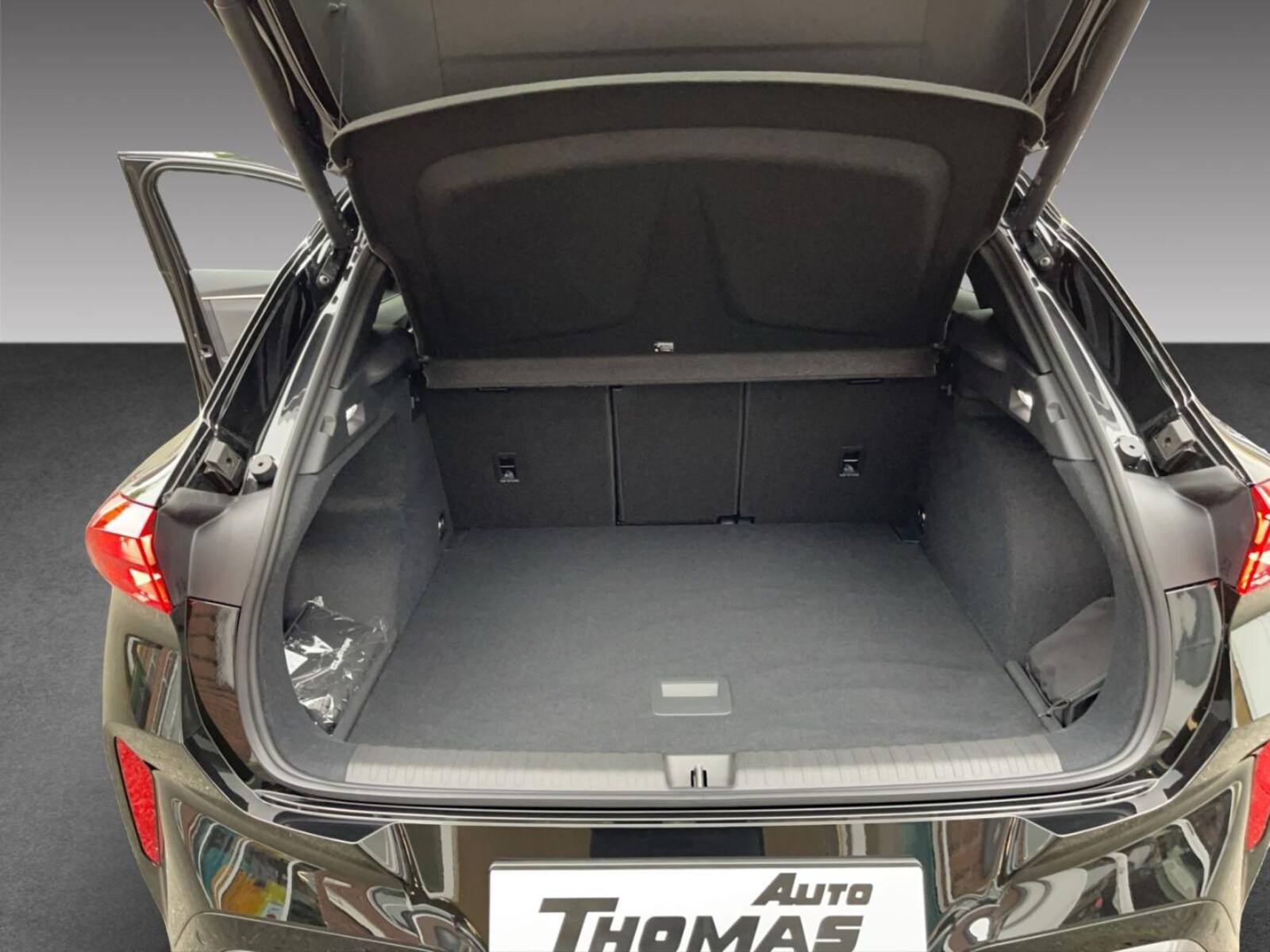 CUPRA Terramar – Bild 14