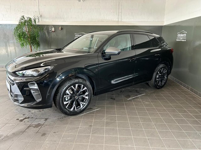 Bild des Autos 3