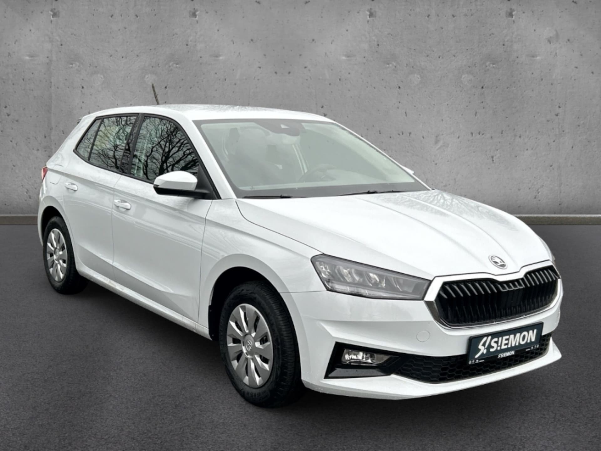 Skoda Fabia Selection