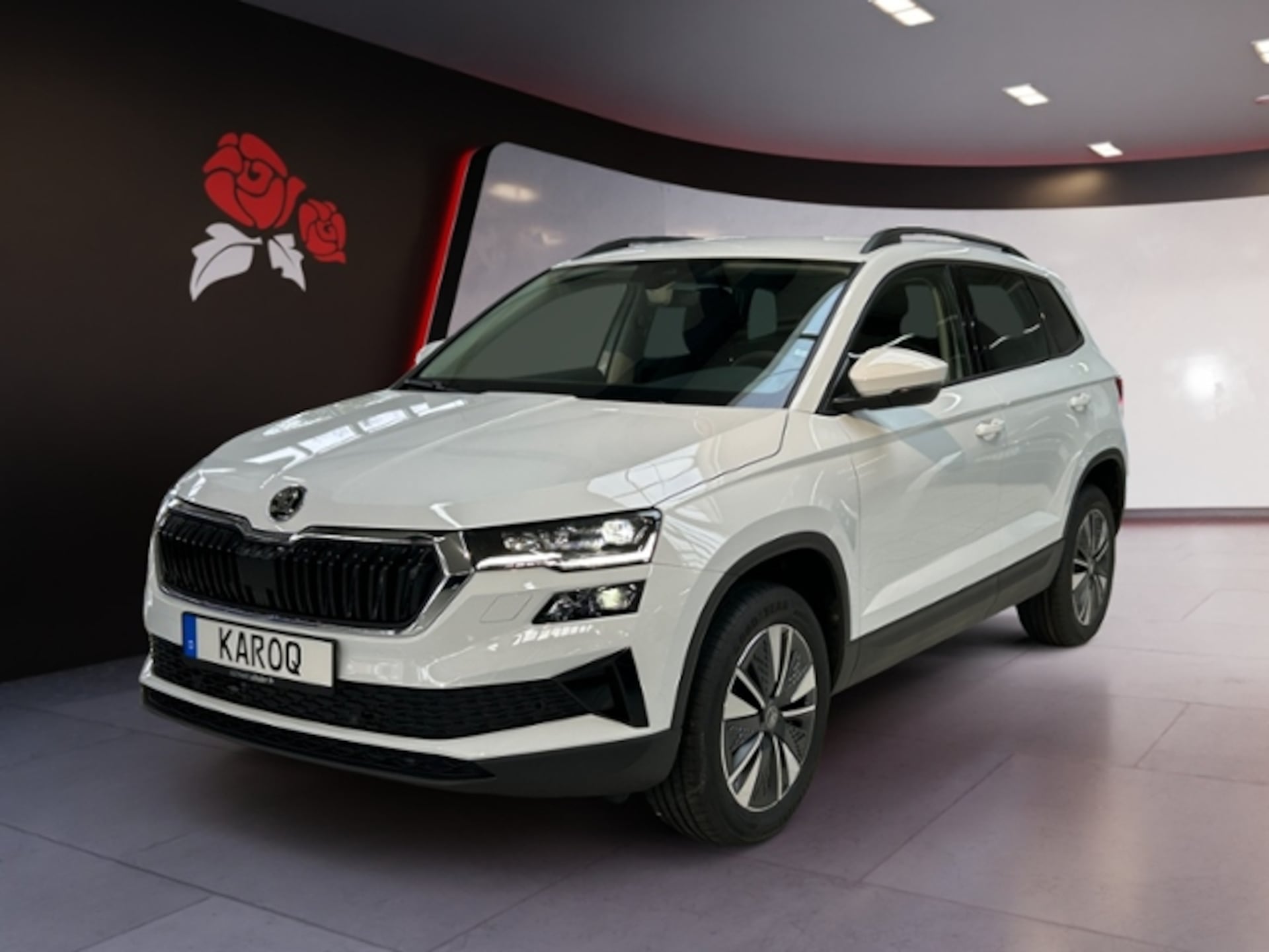 Skoda Karoq Selection