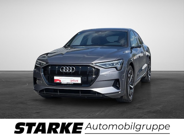 Audi e-tron occasion