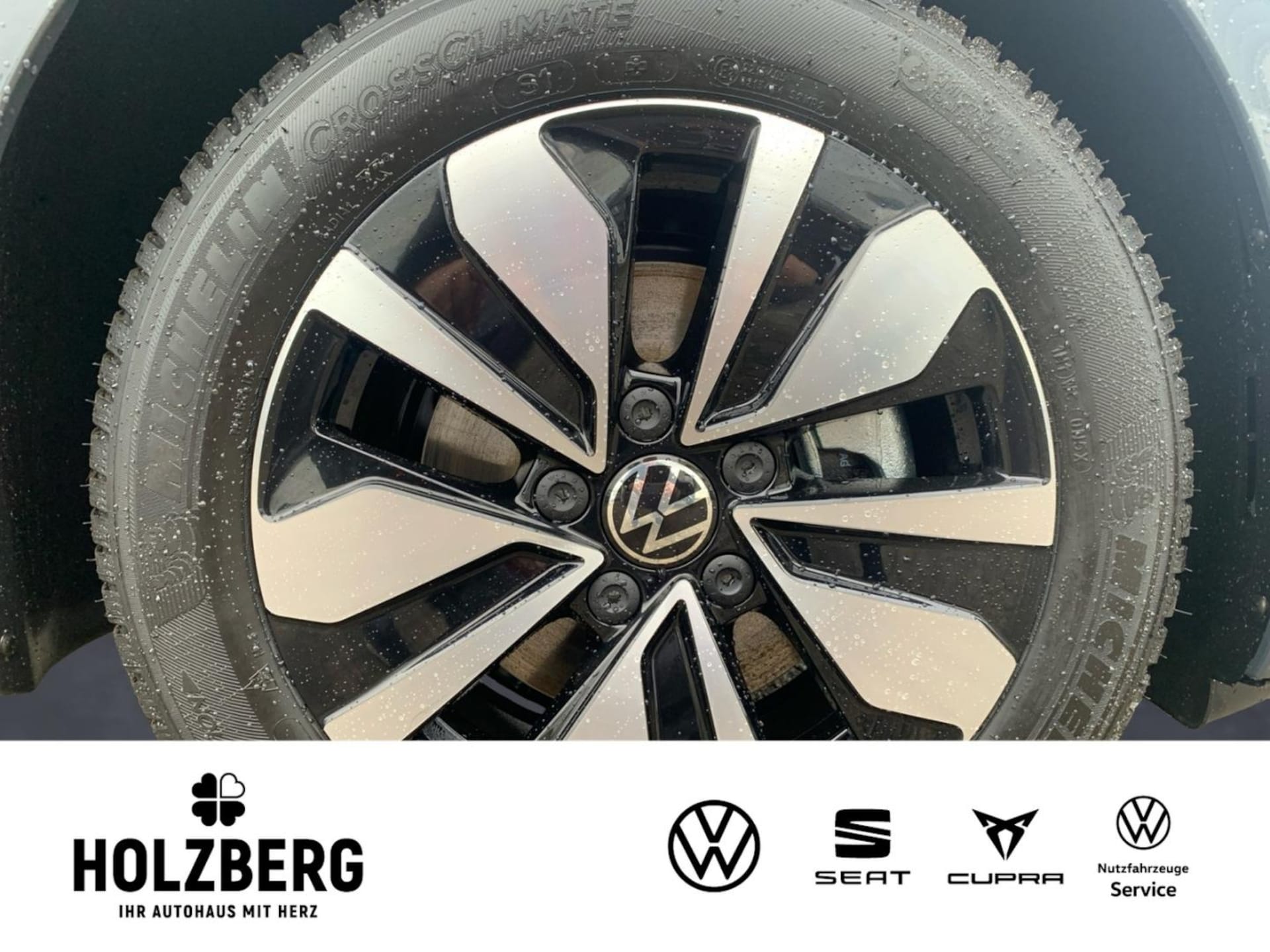 Volkswagen Golf Variant Goal