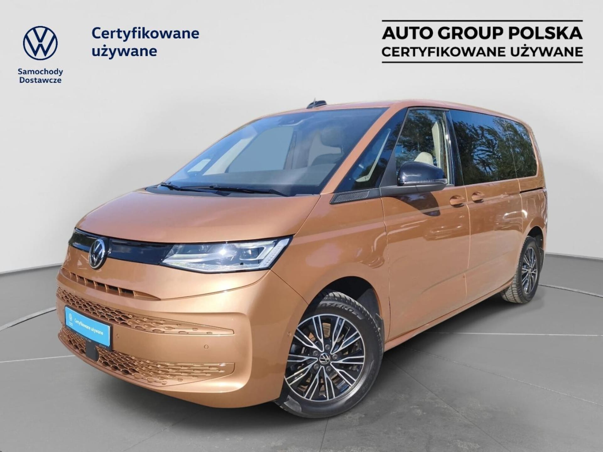Volkswagen Multivan Model bazowy