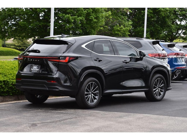 2024 Lexus NX 250