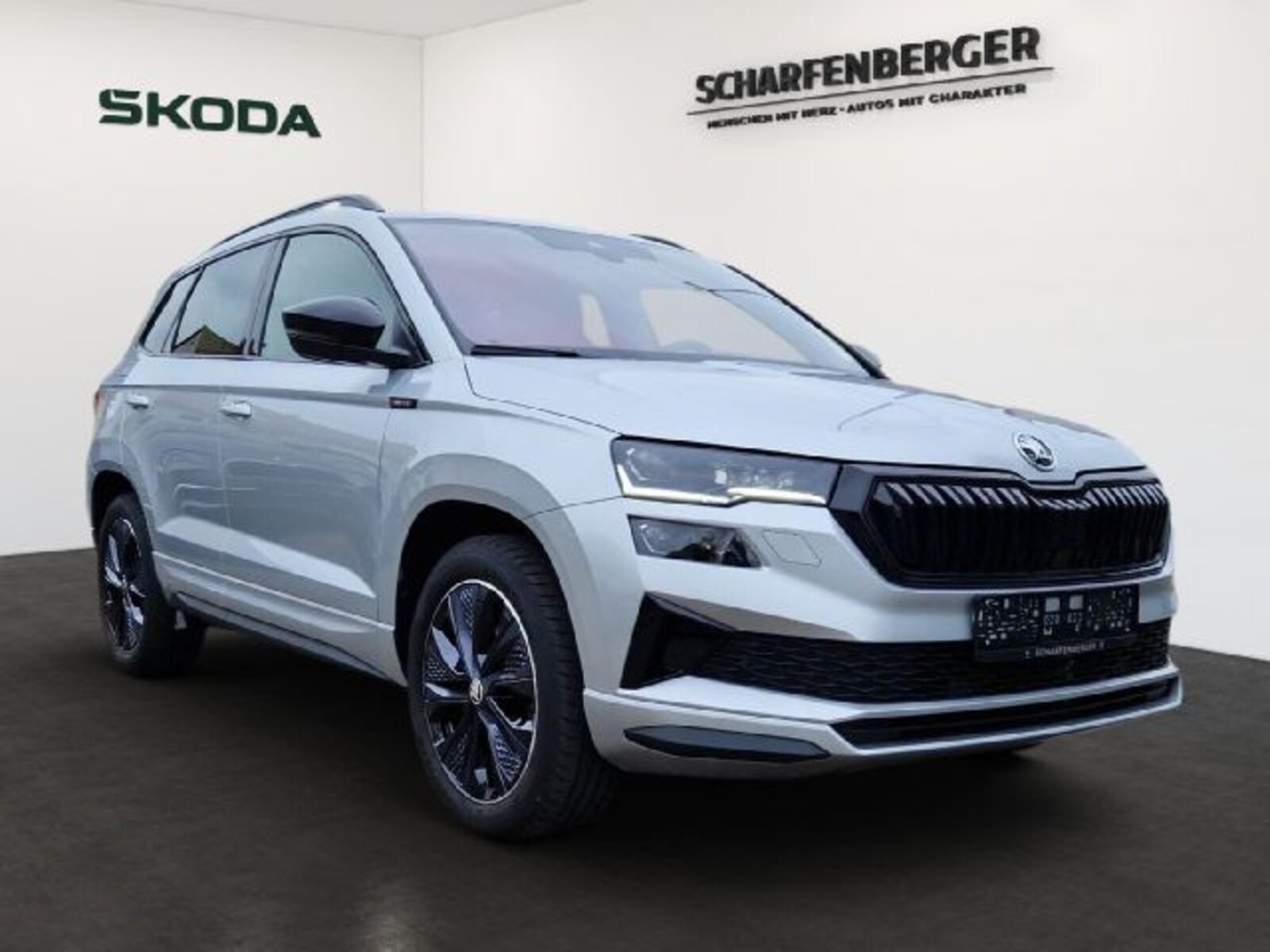 Škoda Karoq – Bild 2