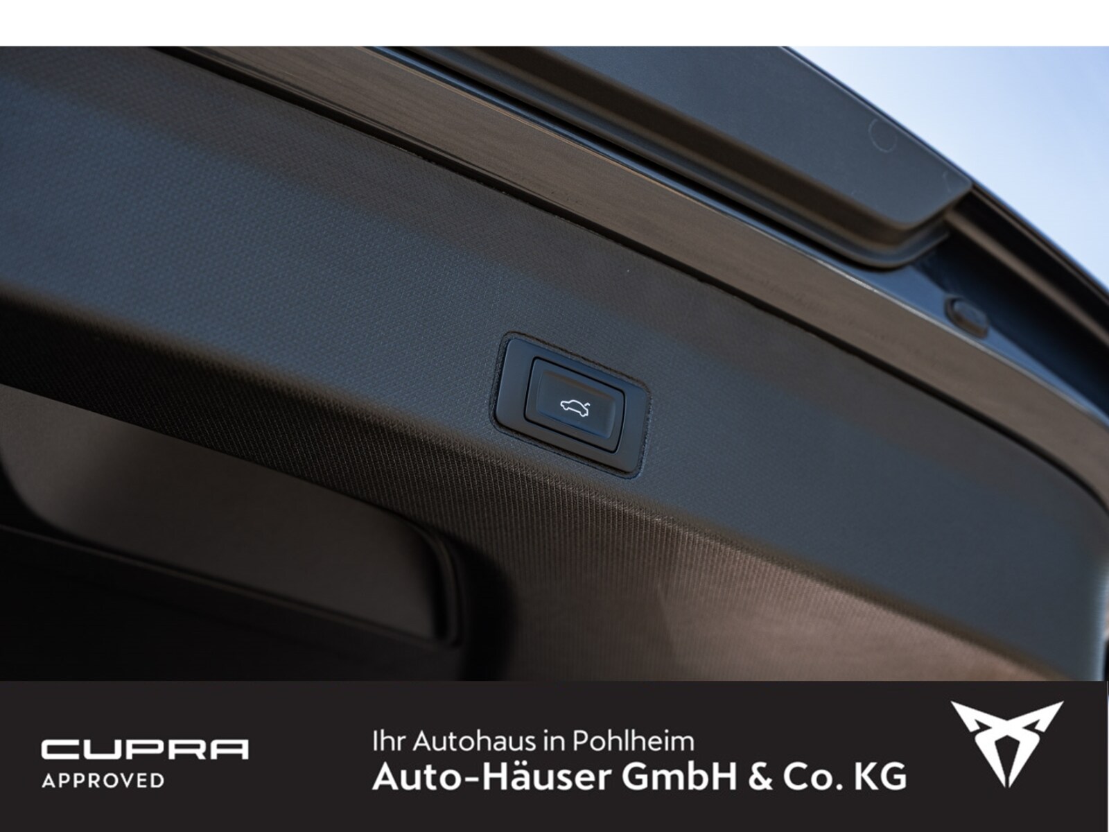 CUPRA Terramar – Bild 9