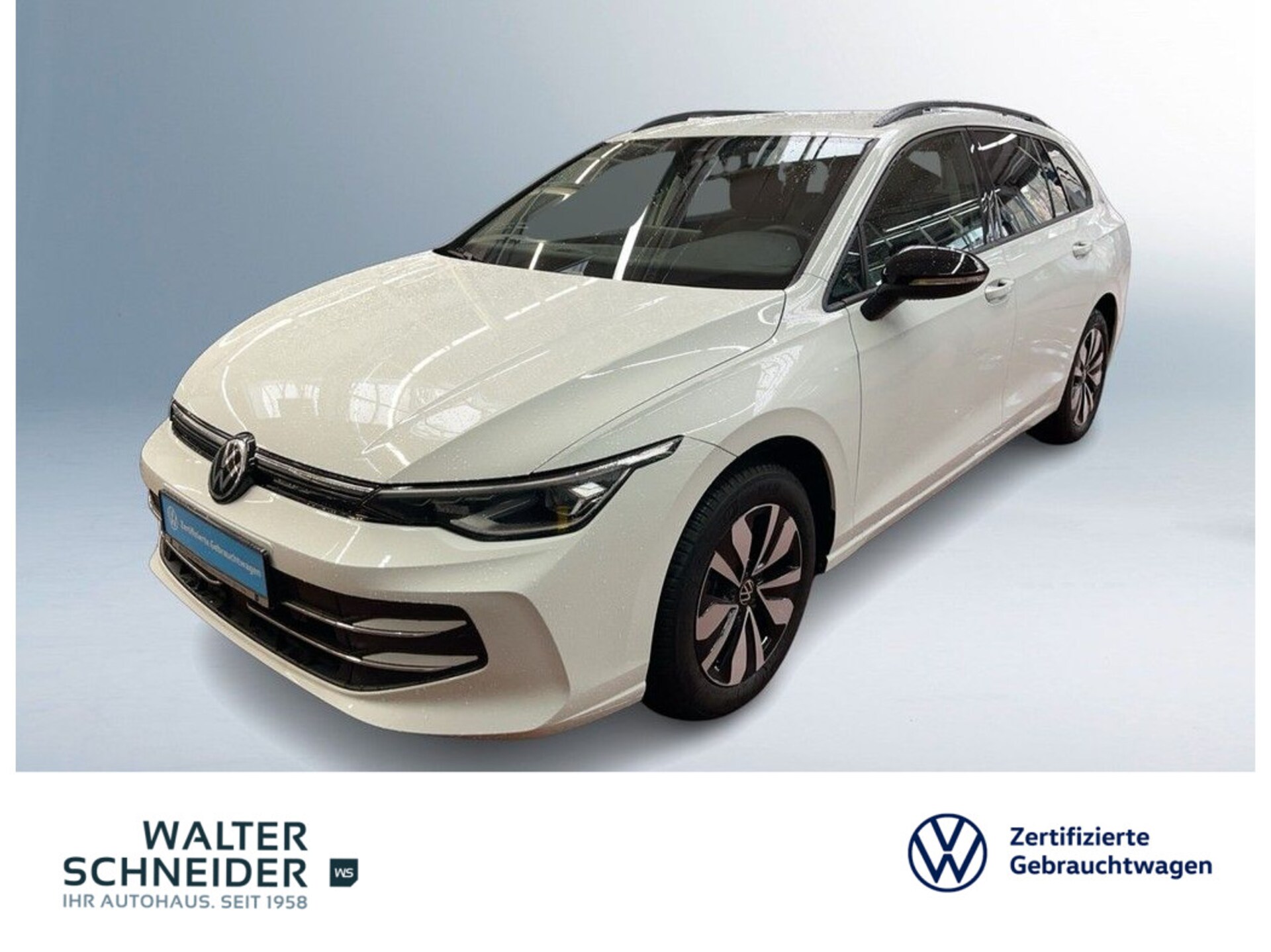 Volkswagen Golf Variant Goal