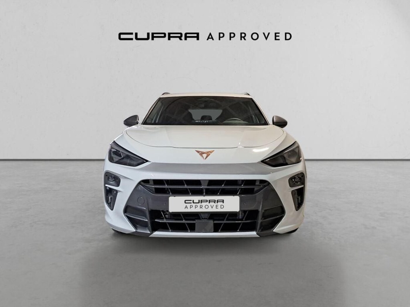 CUPRA Terramar 1.5 TSI e-Hybrid DSG 150 kW (204 CV) — photo 12