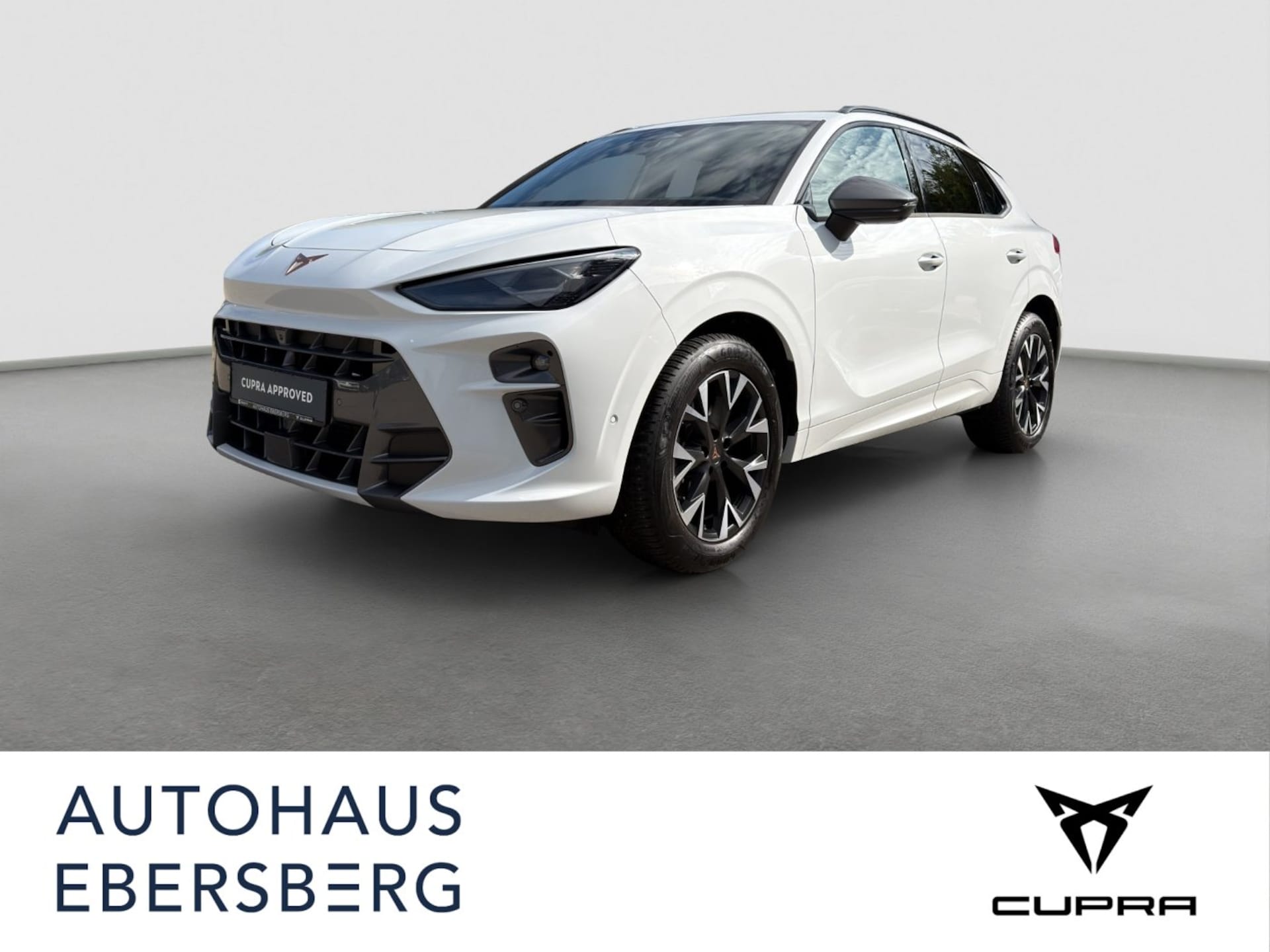 Cupra Terramar 2025
