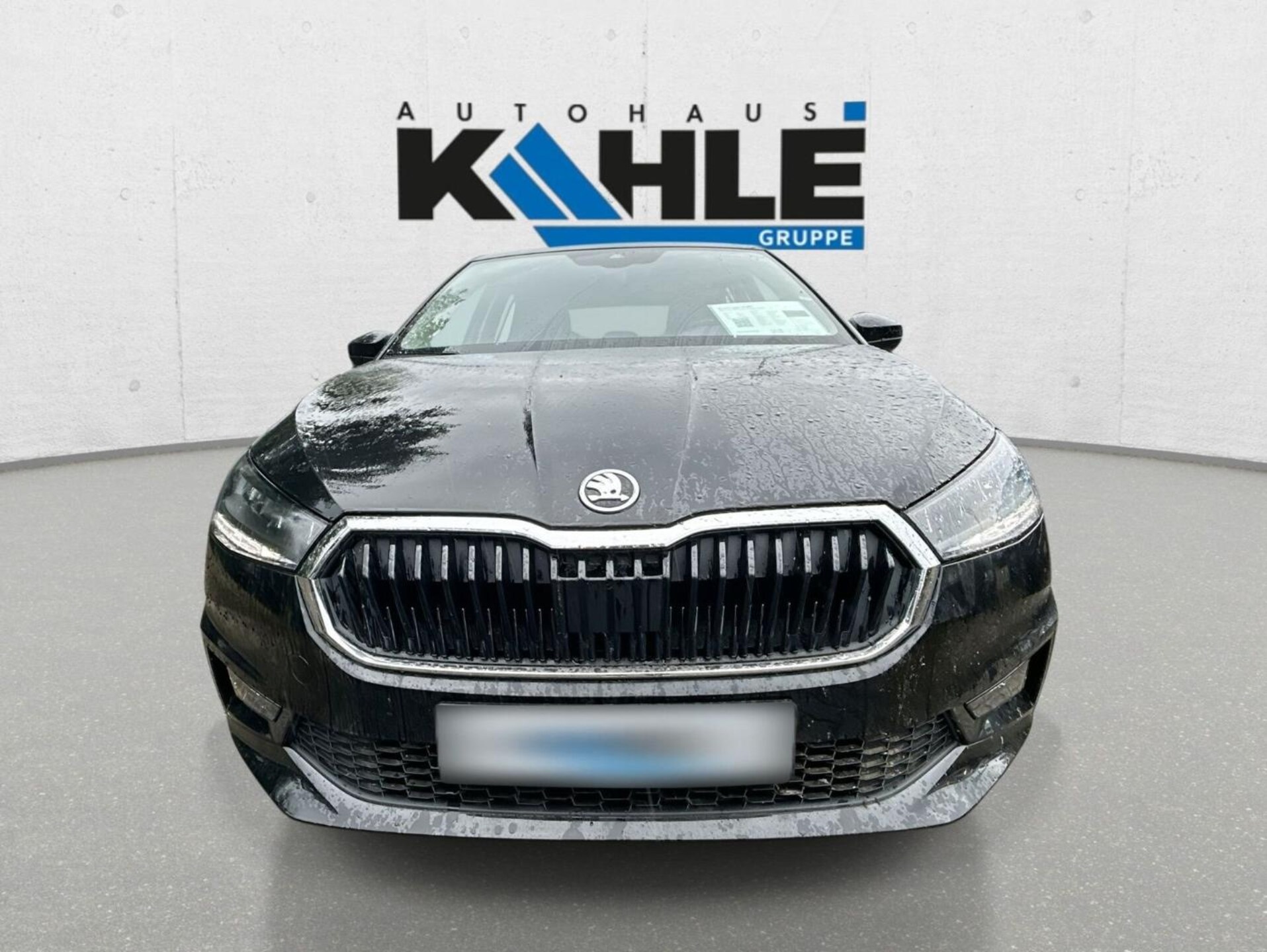 Skoda Fabia Selection