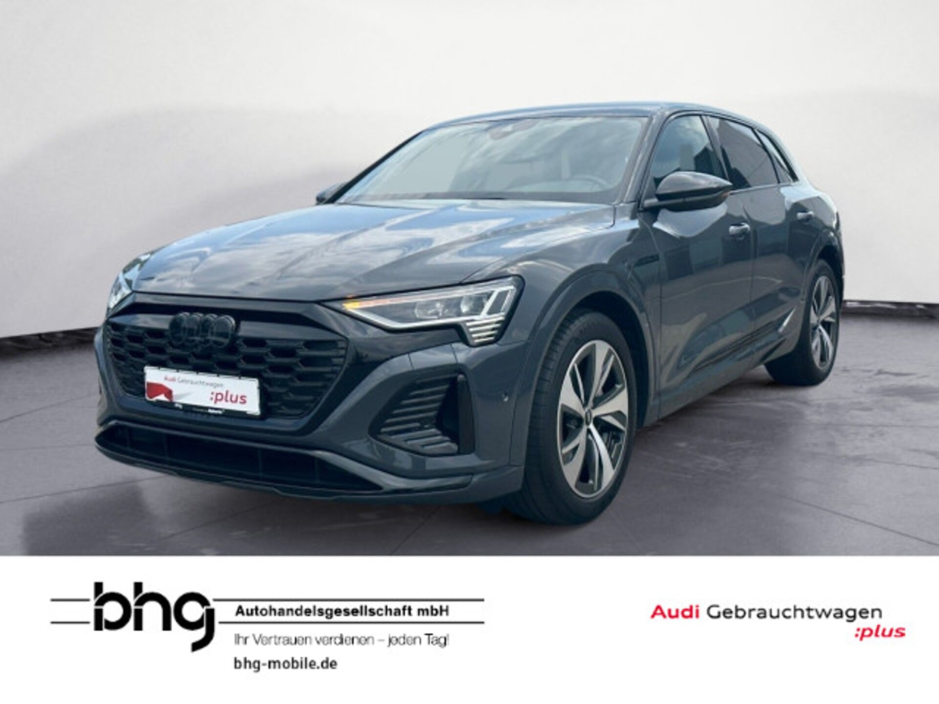 Audi Q8 e-tron S line