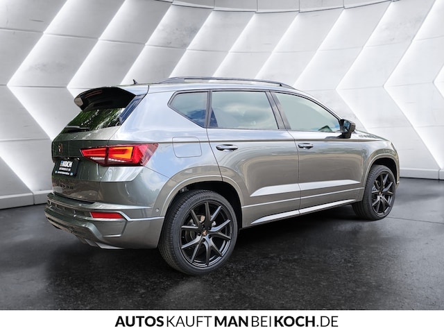 Bild des Autos 5