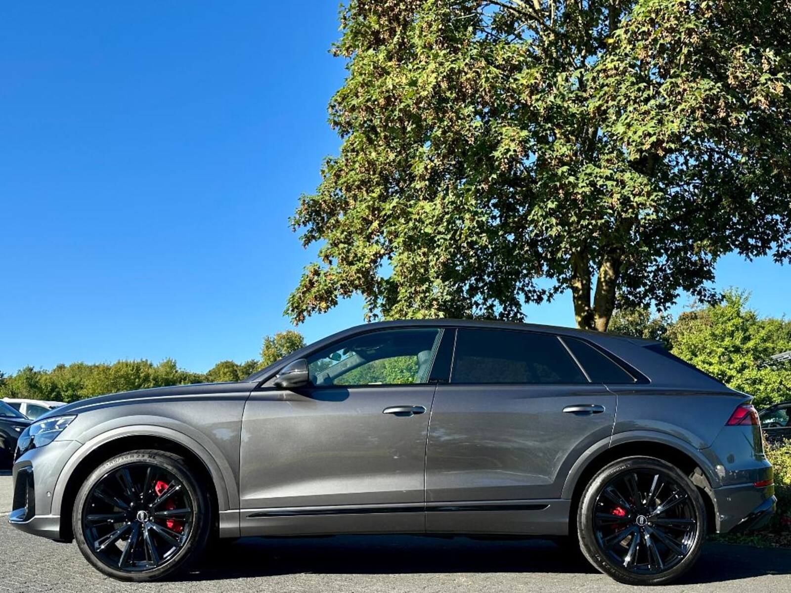 Audi SQ8 – Bild 5