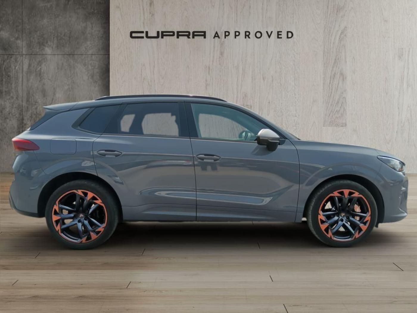 CUPRA Terramar 2.0 TSI VZ 4 Drive DSG 195 kW (265 CV) — photo 3