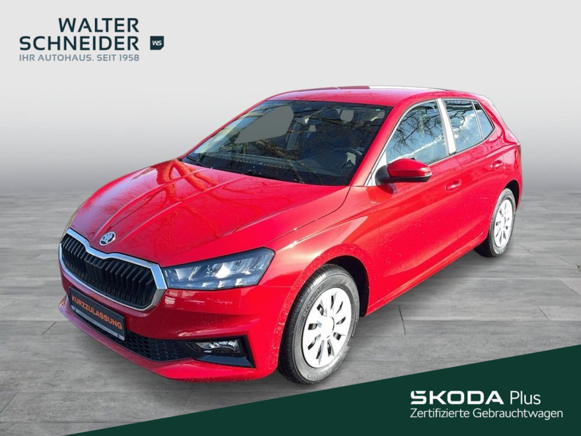 Skoda Fabia Selection