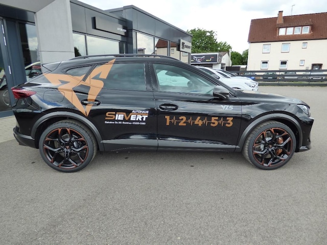 Bild des Autos 13