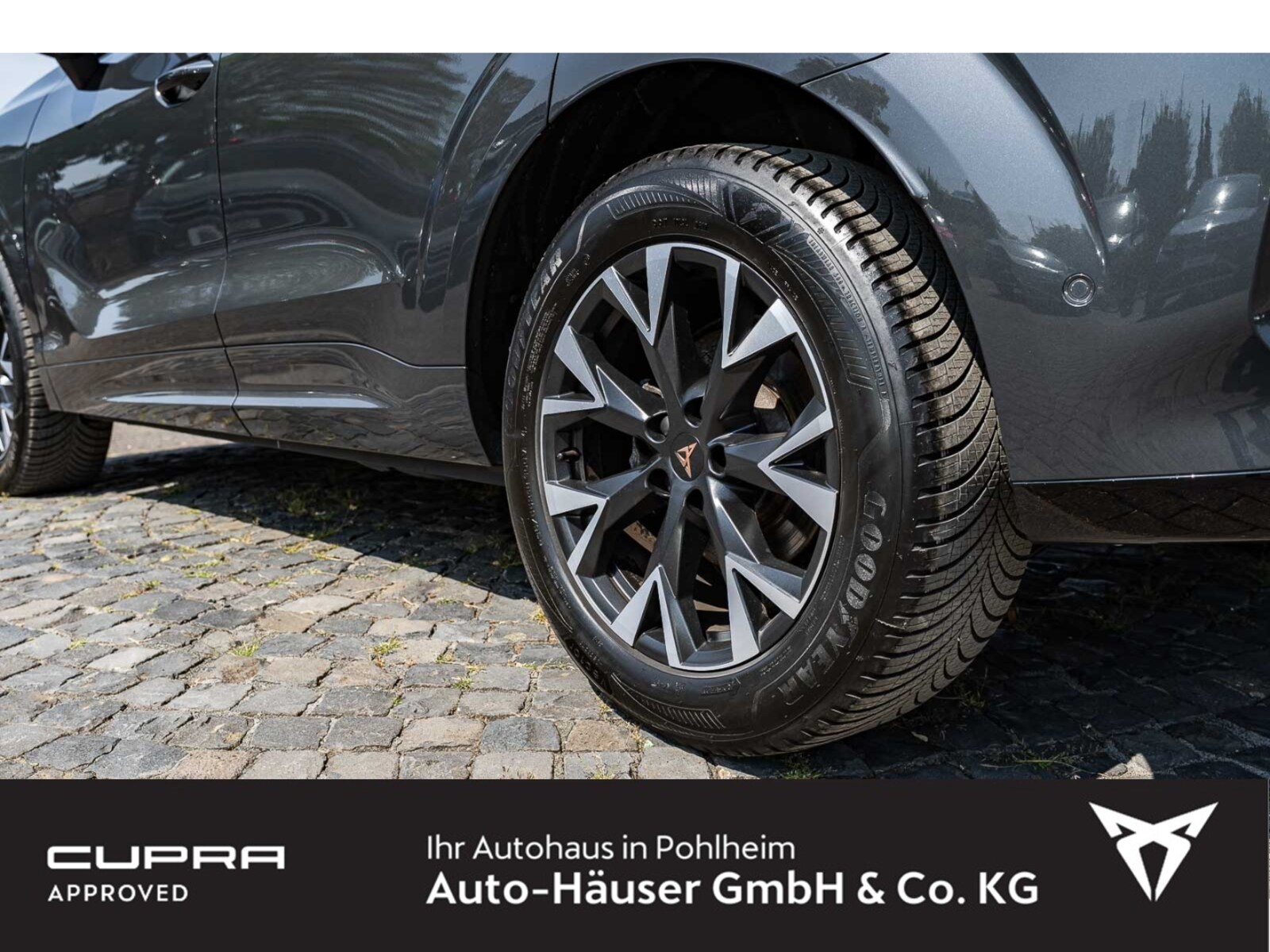 CUPRA Terramar – Bild 7