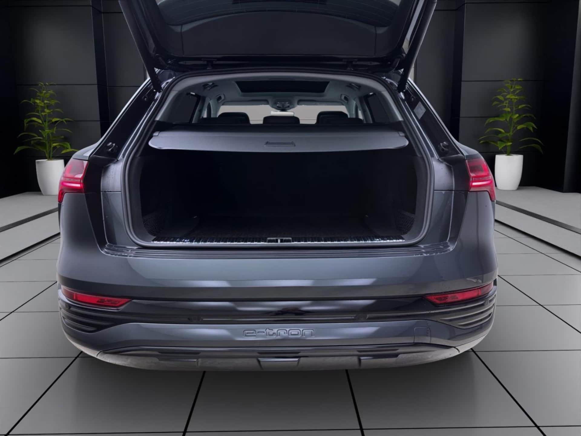 Audi Q8 e-tron Advanced