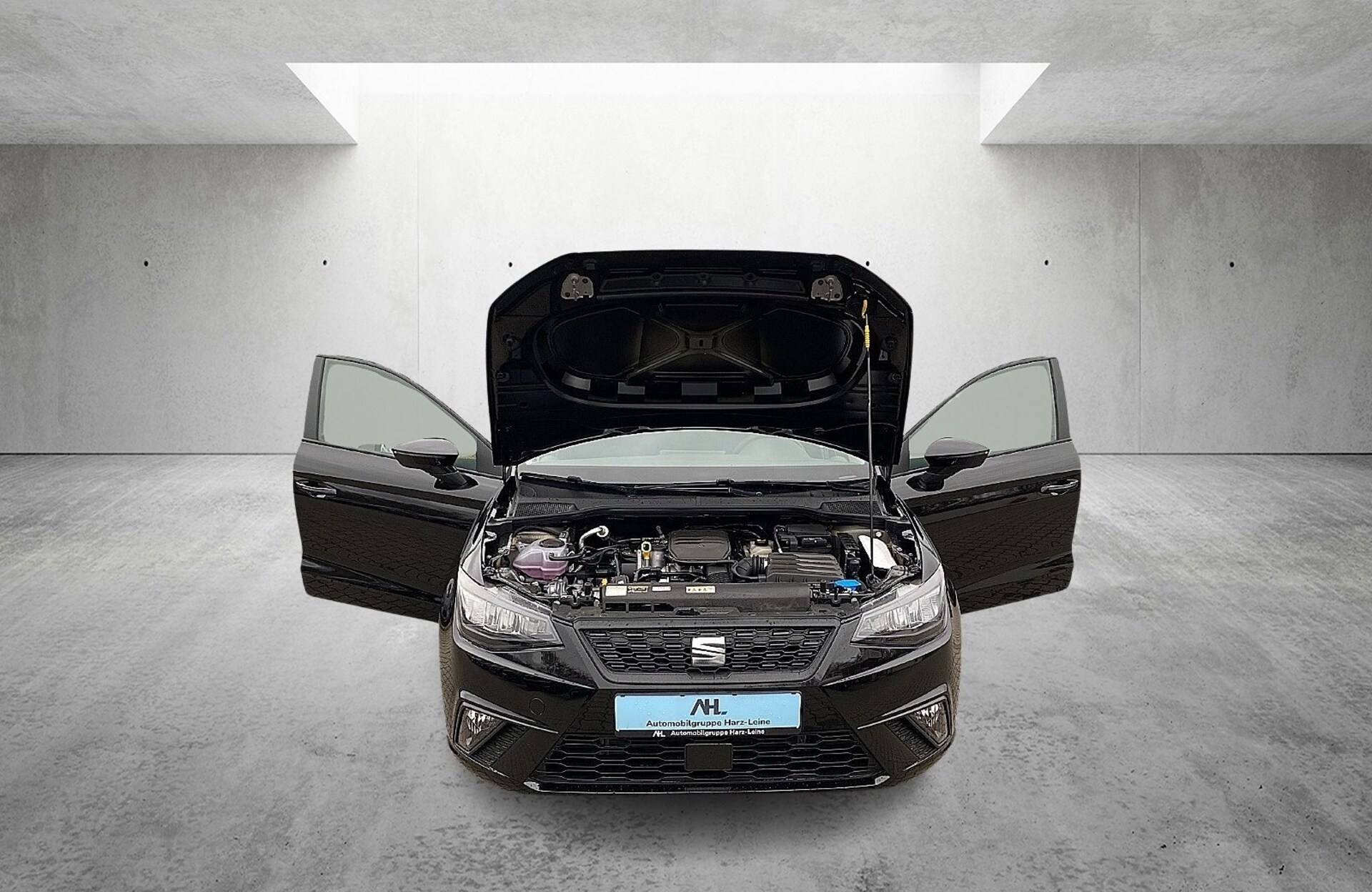 SEAT Ibiza Reference