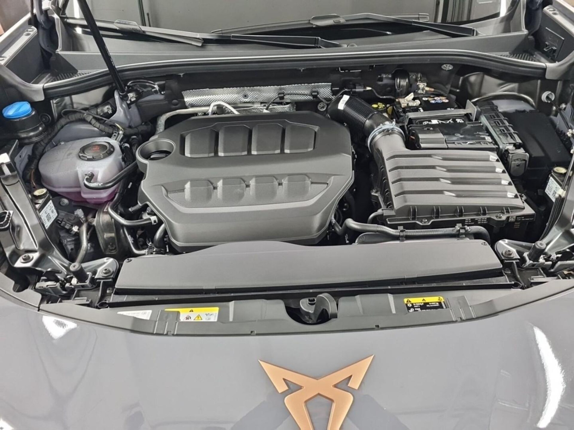 CUPRA Terramar VZ