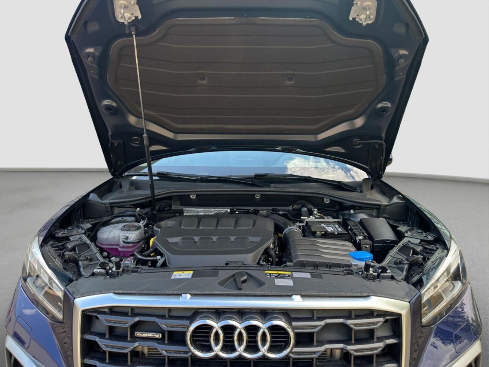 Audi Q2 – Bild 22