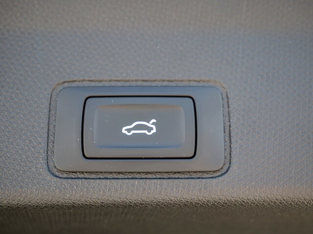 Bild des Autos 20