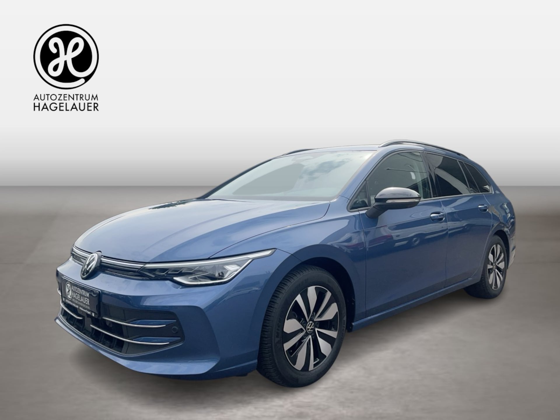 Volkswagen Golf Variant Goal