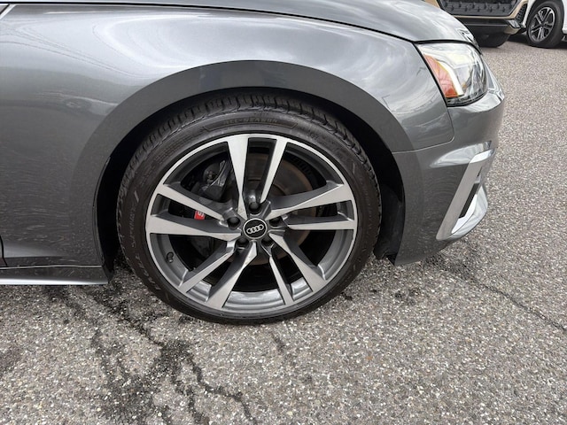 2023 Audi S5 Sportback Premium Plus - Photo 23