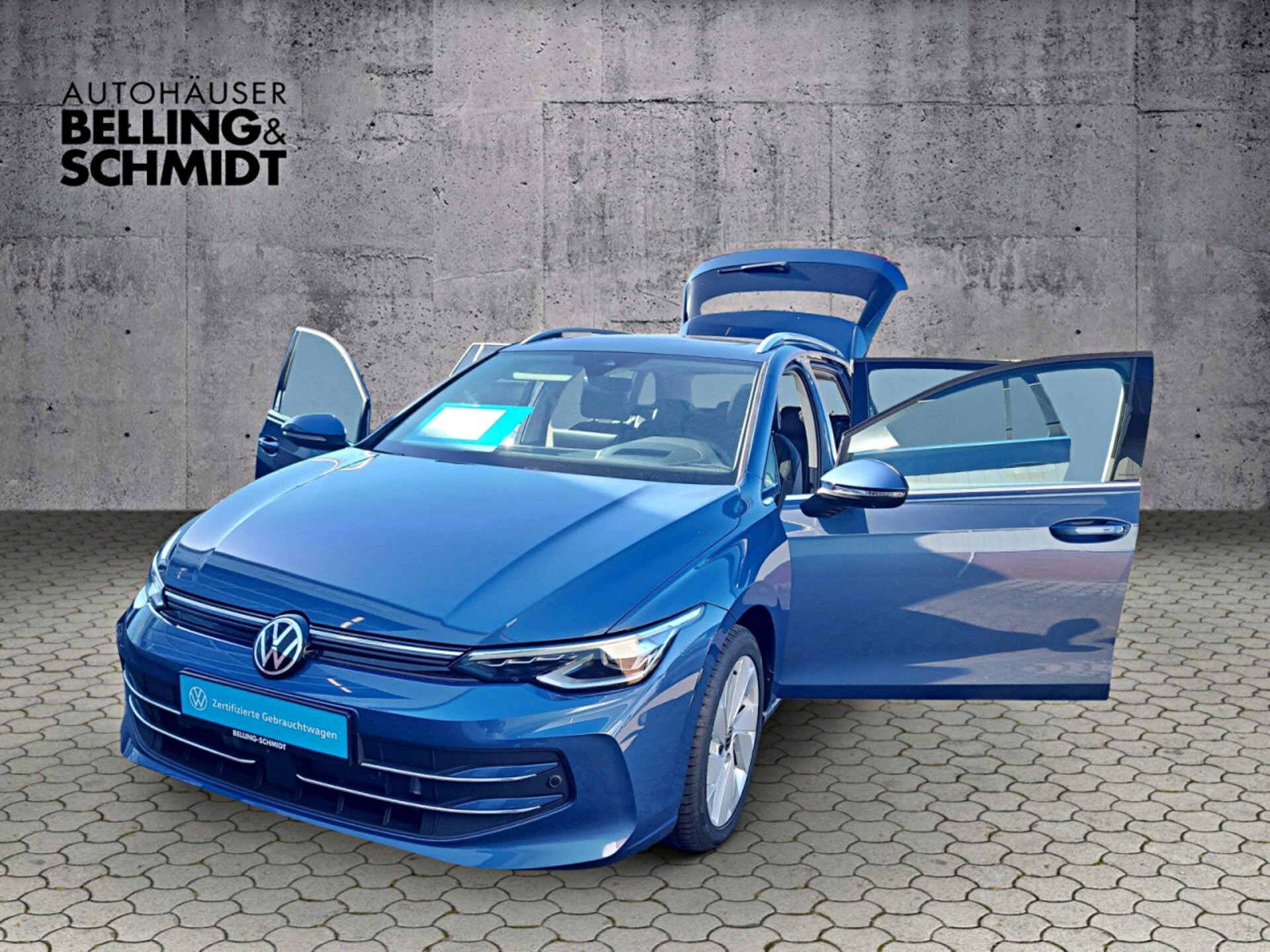 Volkswagen Golf Variant Style
