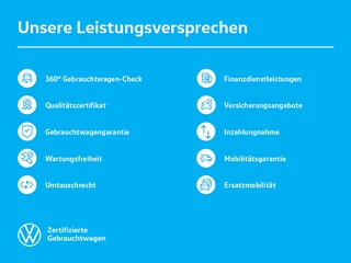 zweites Vorschaubild