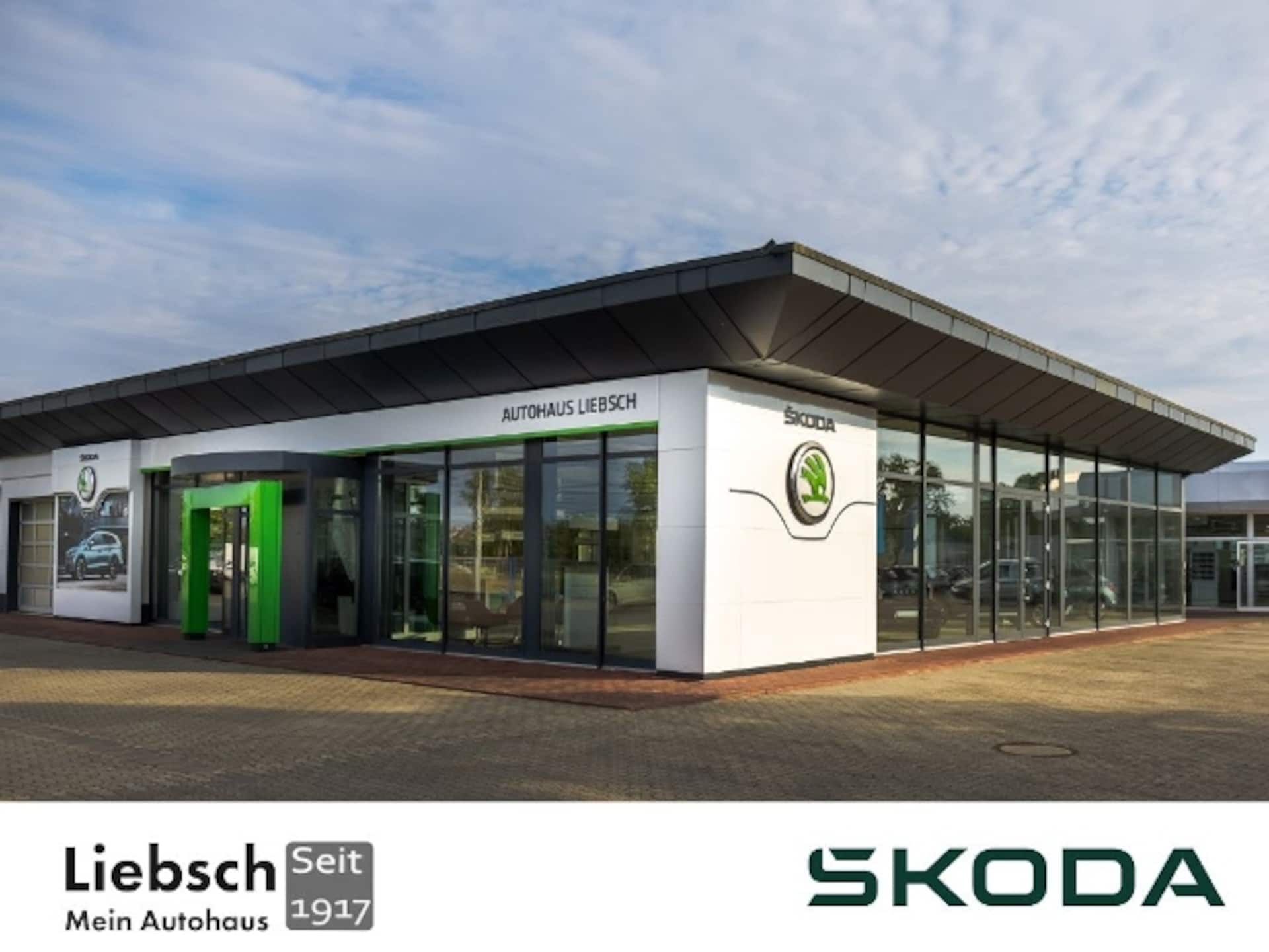Skoda Kamiq 2022