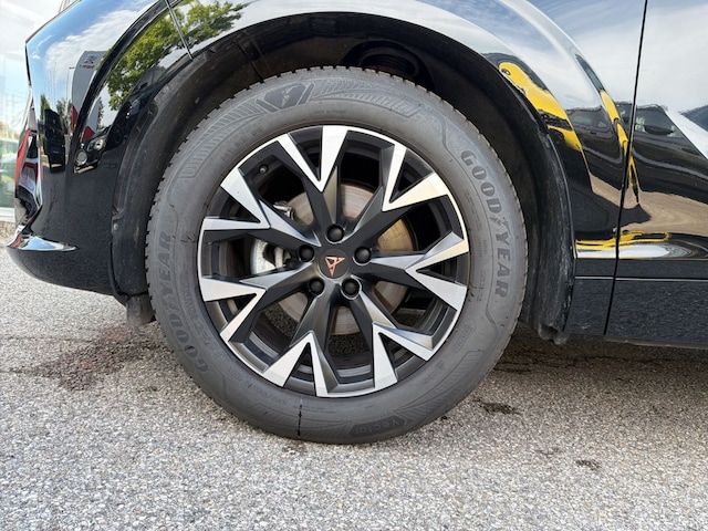 Bild des Autos 12