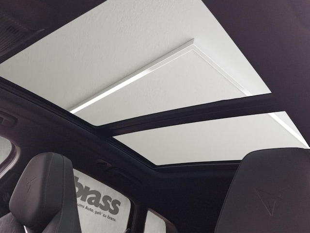 Bild des Autos 21