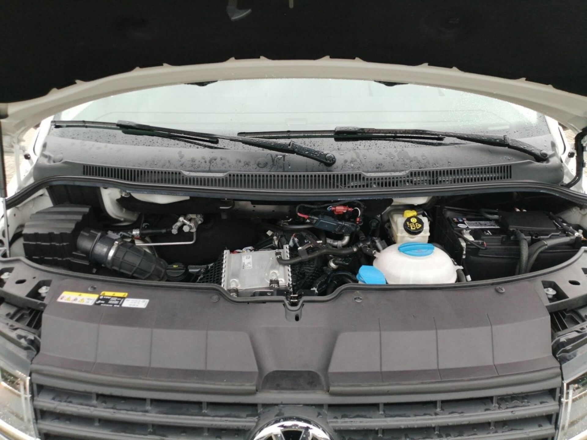 Volkswagen T6.1 Transporter Kasten kurzer Radstand