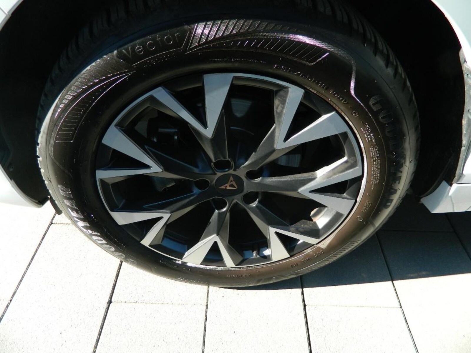 CUPRA Terramar – Bild 4