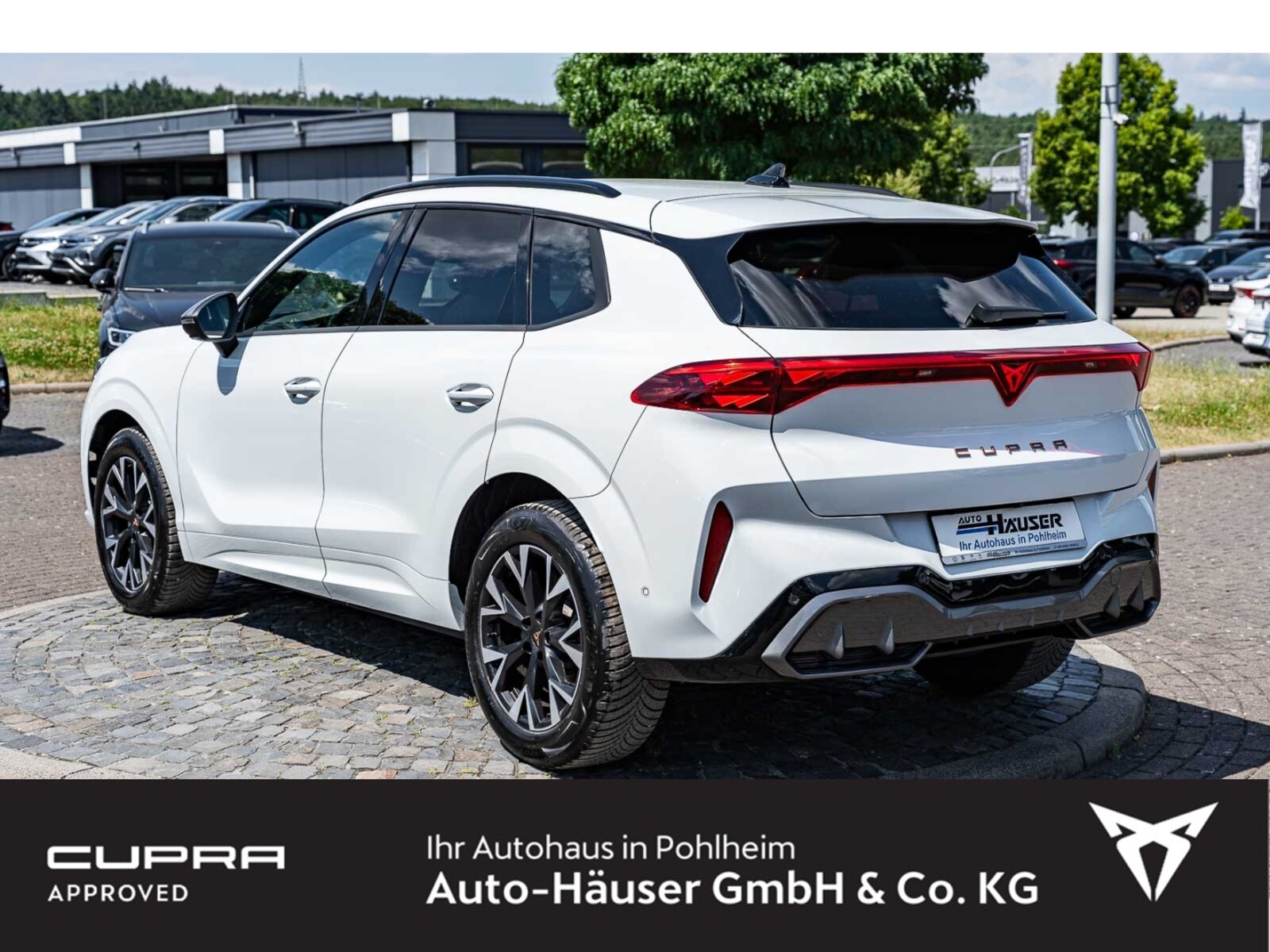 CUPRA Terramar – Bild 3
