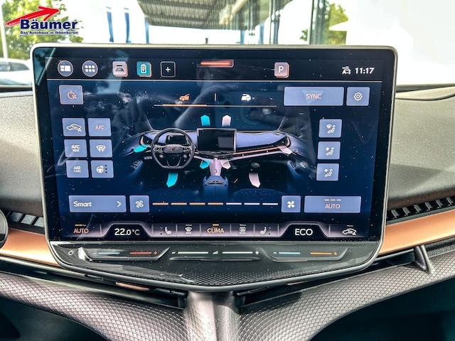 Bild des Autos 19