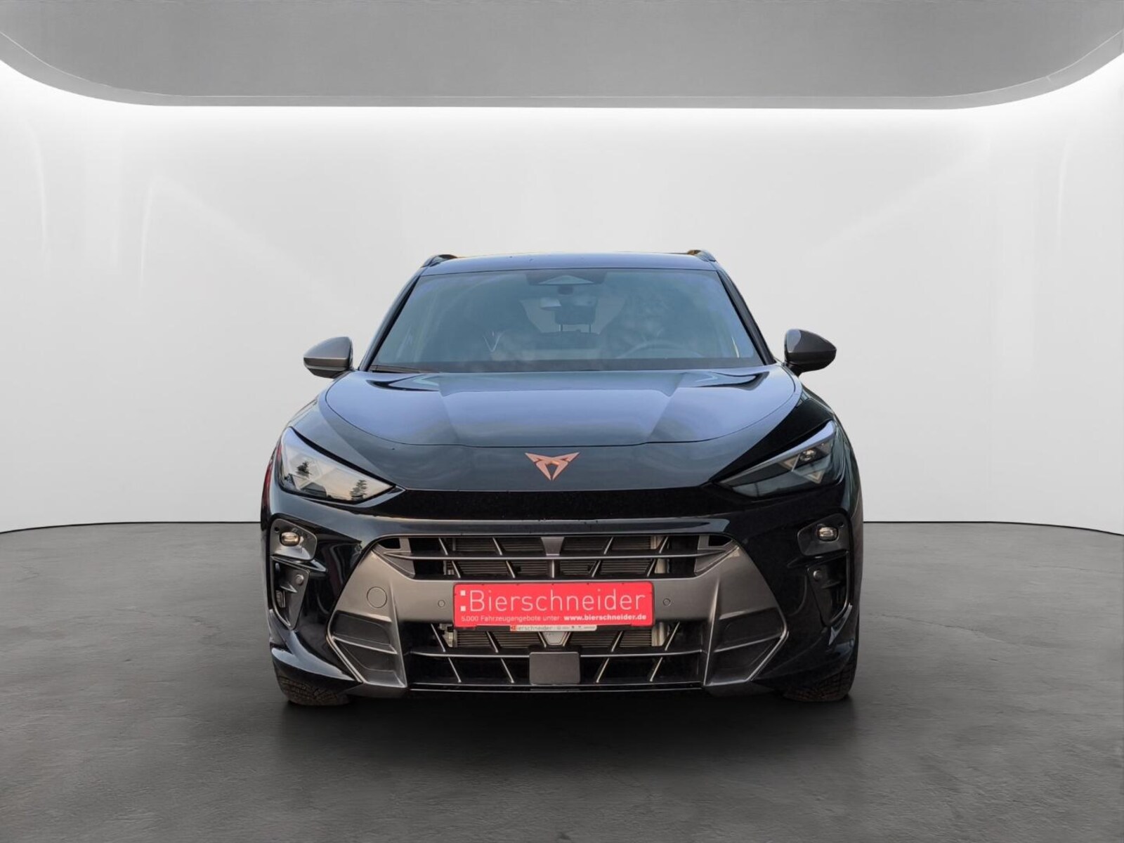 CUPRA Terramar – Bild 3