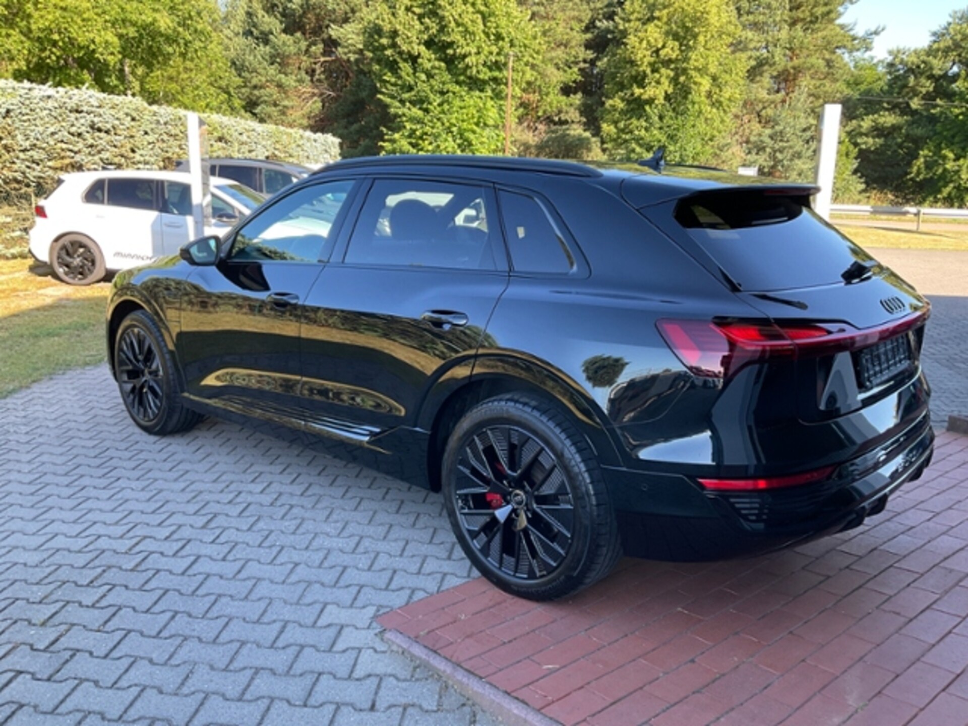Audi Q8 e-tron S line