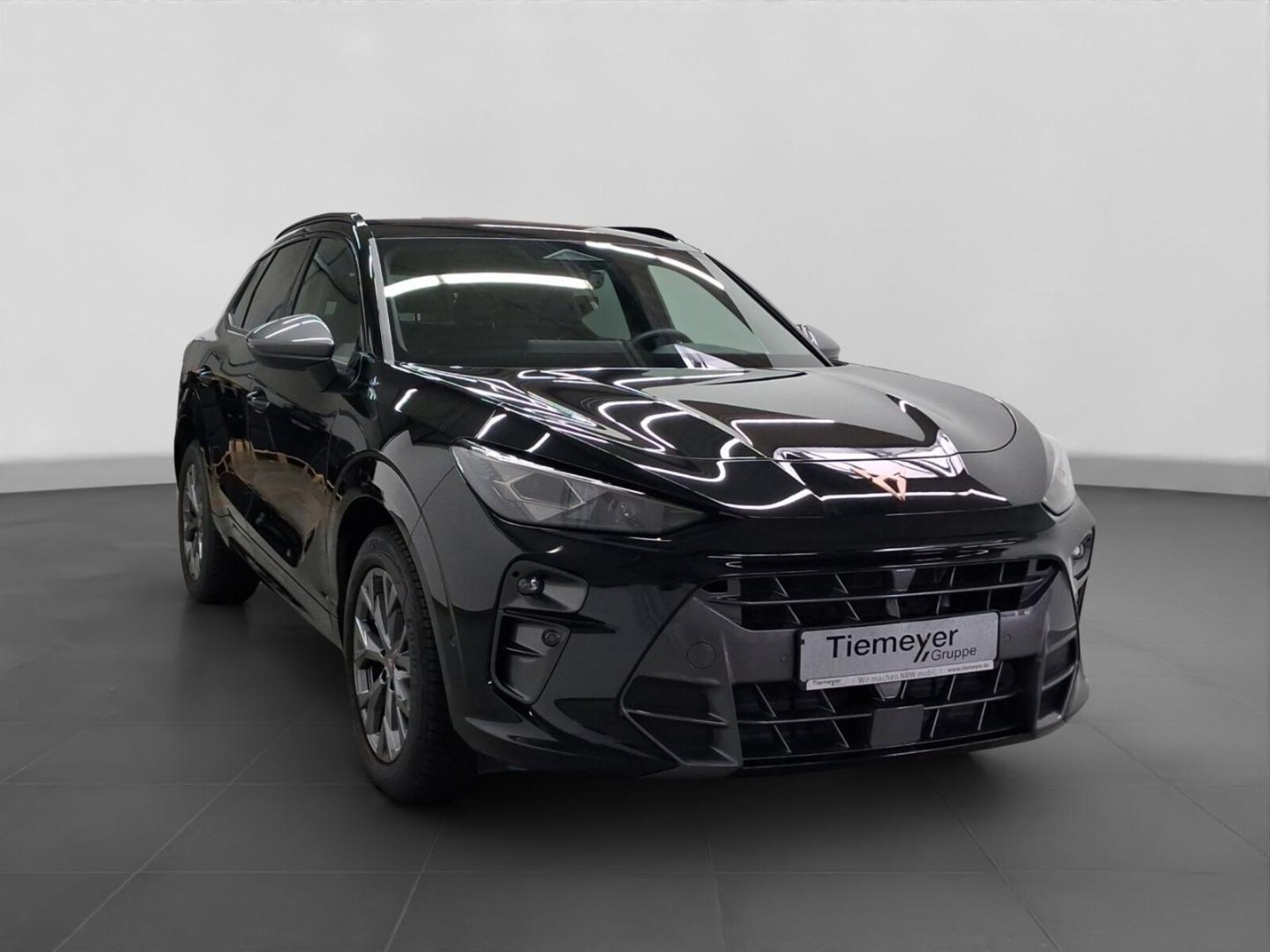 CUPRA Terramar – Bild 3
