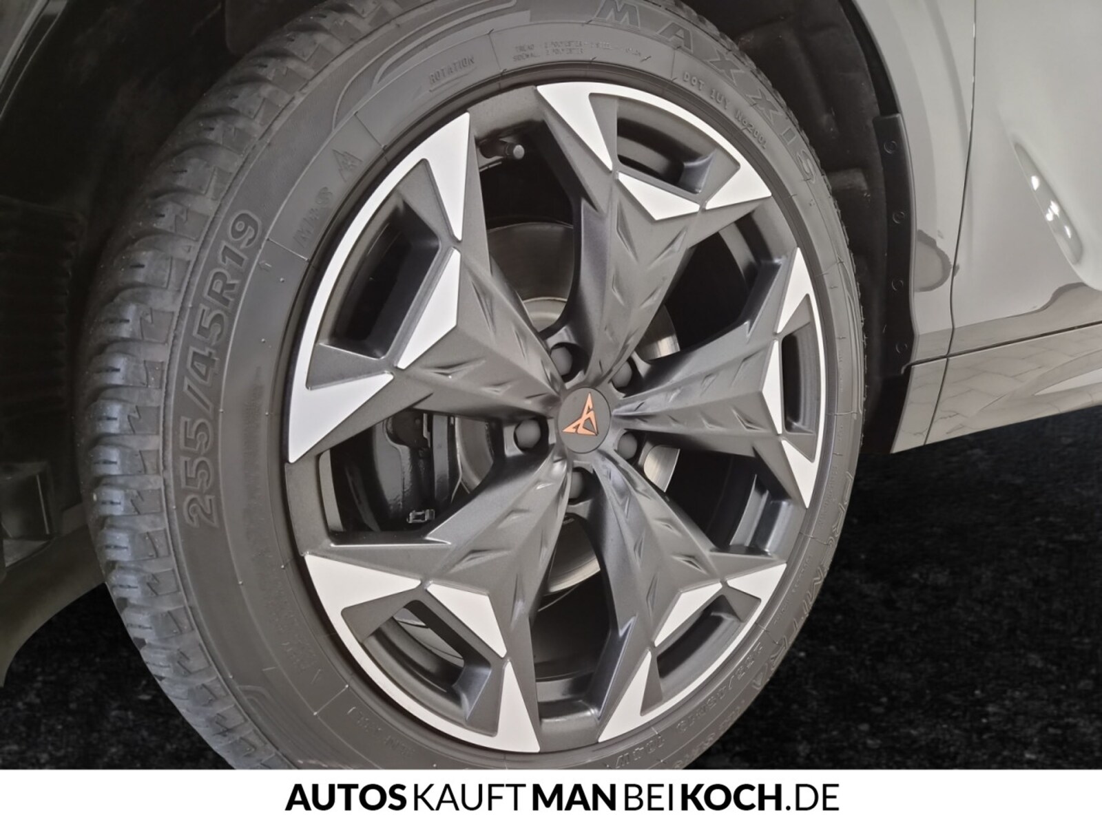 CUPRA Terramar – Bild 16