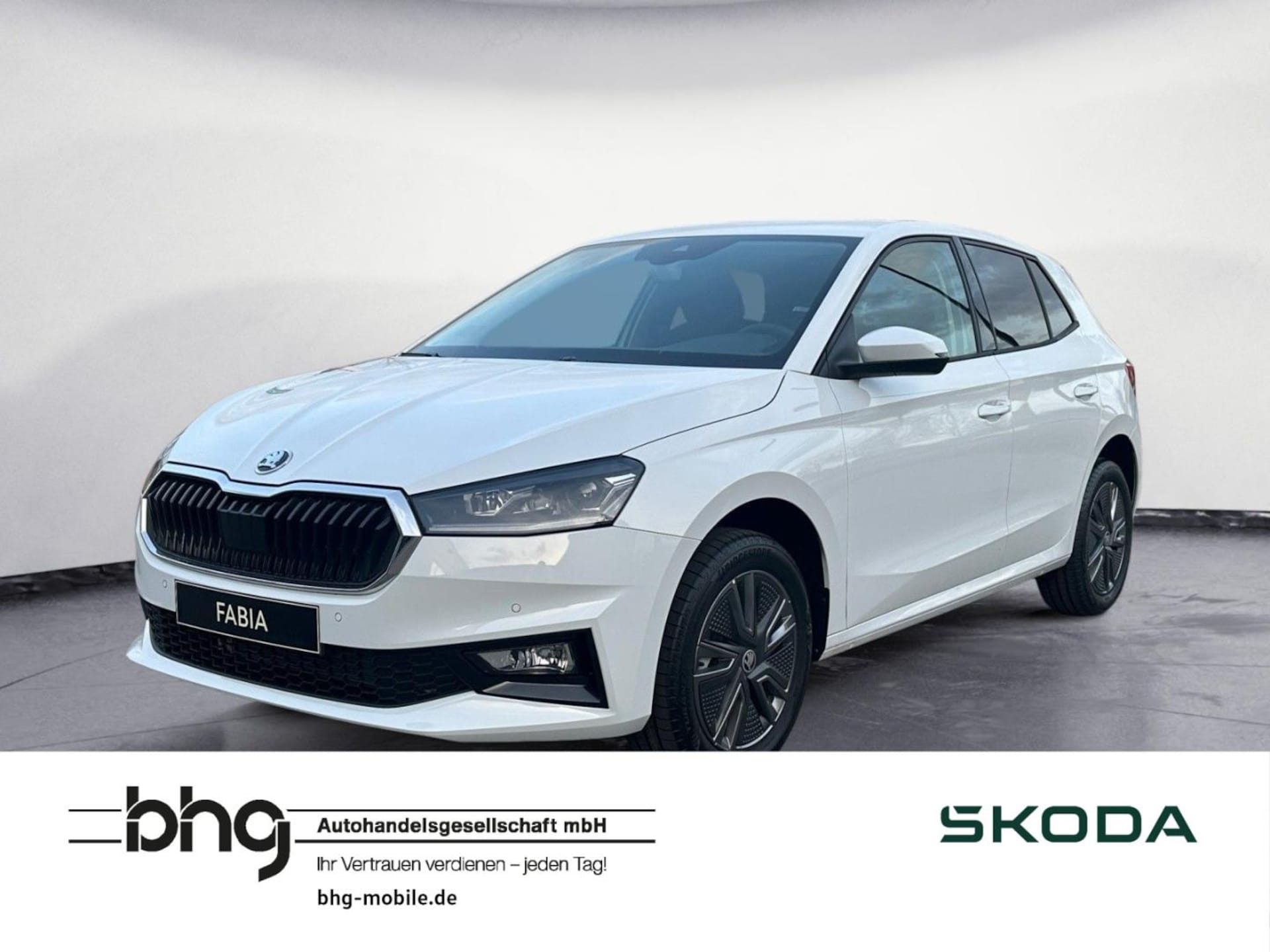 Skoda Fabia Selection