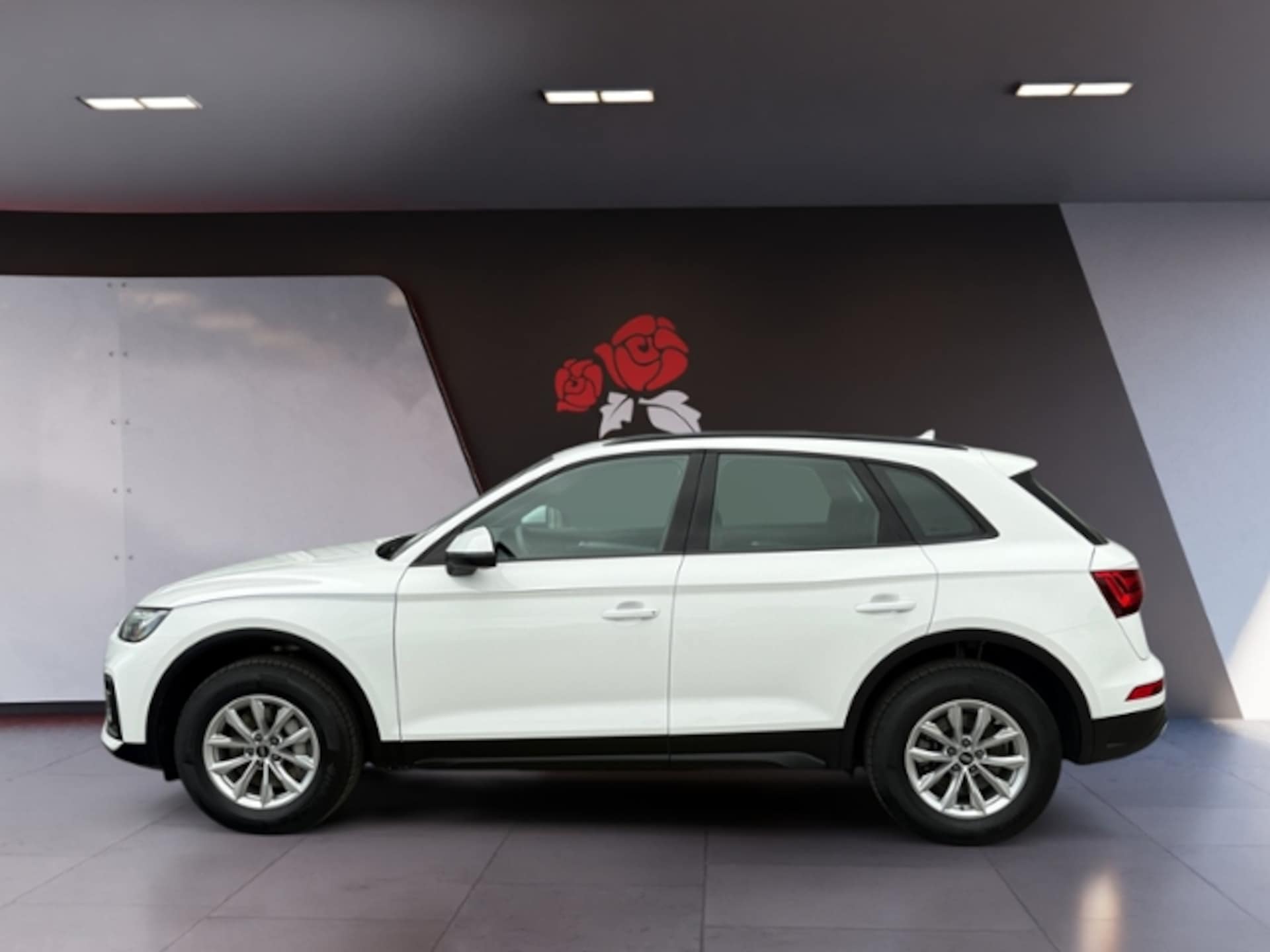 Audi Q5 SUV