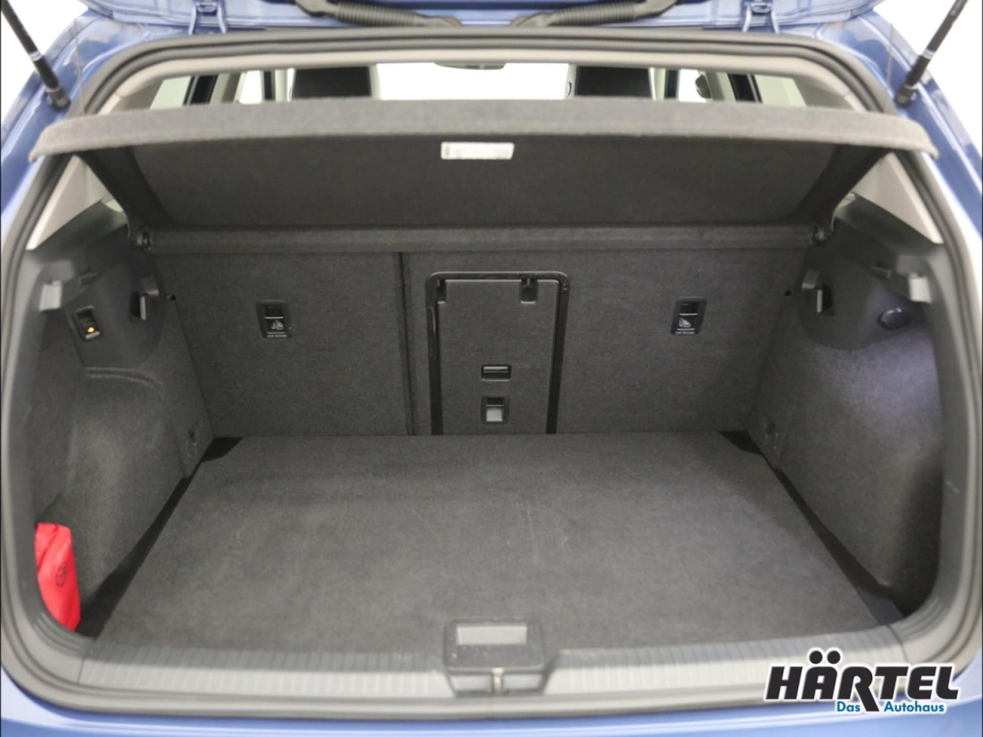 Volkswagen Golf Goal