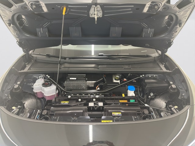 Bild des Autos 19