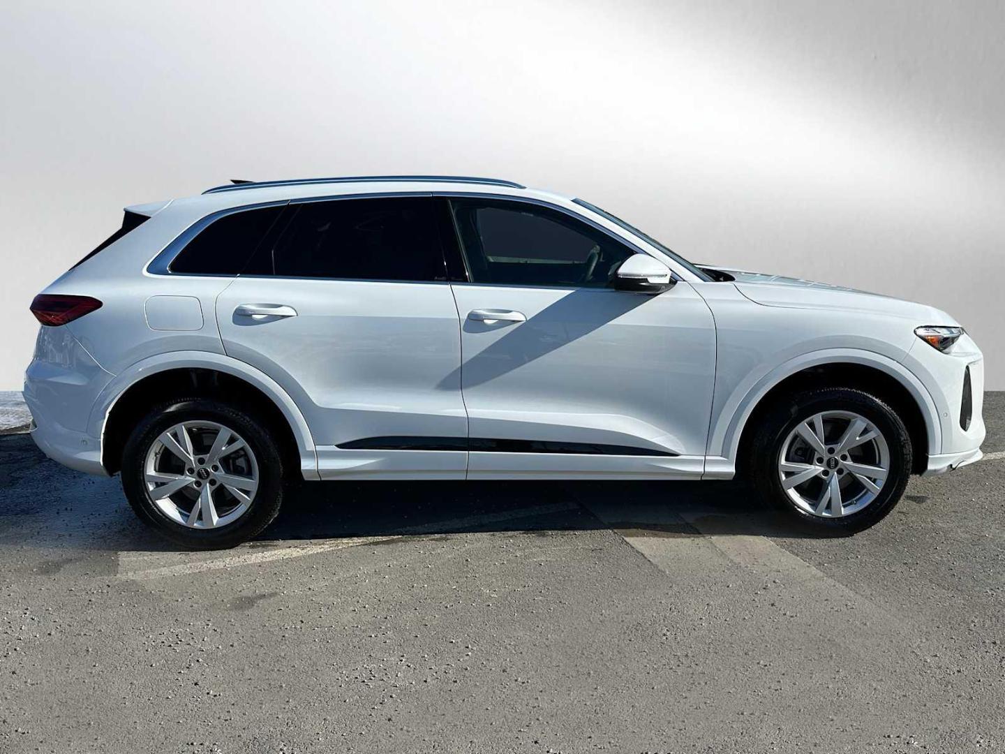 WA11AAGU1S2039861