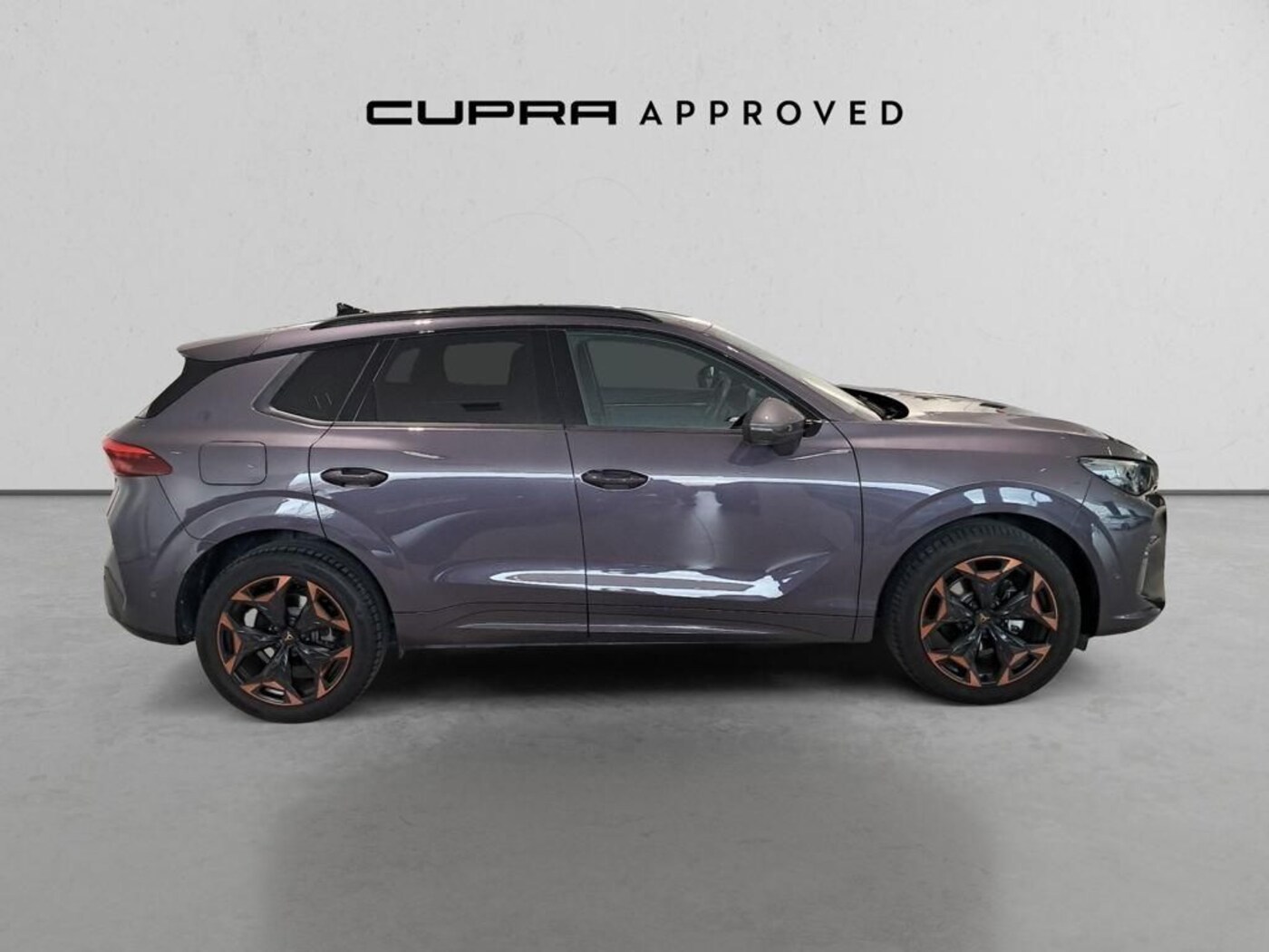CUPRA Terramar 1.5 eTSI DSG 110 kW (150 CV) — photo 3